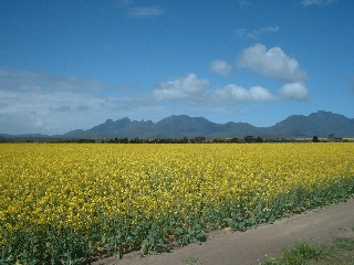 Stirling Ranges National Park