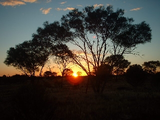 Sunset in the bush