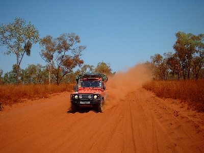 Who said our car wasn't camouflaged?