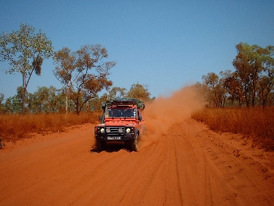 Who said our car wasn't camouflaged?