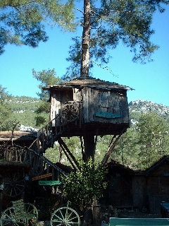 treehouse accommodation 'the penthouse'