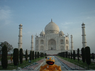 Zippy at the Taj Mahal