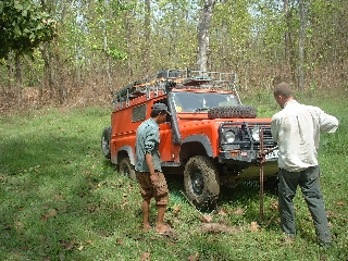 Stuck in the mud at Chitwan