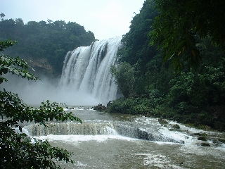 Yellow Fruit Tree Waterfalls